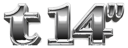 t 14 logo